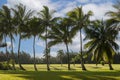 Classic Hawaiian Palm Tree Sunset. Sunsets in Hawaii are like no other. Royalty Free Stock Photo