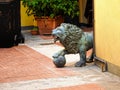 Here is a lion who wants to play ball.