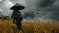 Here is a list of keywords for your image: single farmer in a rice paddy with a stormy sky above, looking at crows. Royalty Free Stock Photo