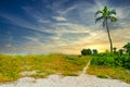 A natural rustic beach on Sanibel Island with palm tree, sand, scrub gras and clouds