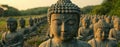 Here's the requested information

 Serene Buddhas in a Field of Enlightenment Royalty Free Stock Photo