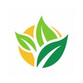 Eco Leaf Abstract Logo Design Vector Royalty Free Stock Photo