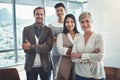 Here to level up on our success together. Portrait of a diverse group of businesspeople standing in an office. Royalty Free Stock Photo