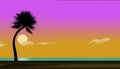Here is a tropical beach, pelicans, sunset, juggler, palm tree, ocean and beach in foreground
