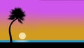 Here is a tropical beach, pelicans, sunset, juggler, palm tree, ocean and beach in foreground