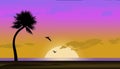 Here is a tropical beach, pelicans, sunset, juggler, palm tree, ocean and beach in foreground