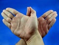 Here are two hands like a bird Royalty Free Stock Photo