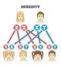 Heredity as genetic hair heritage from biological parents outline diagram