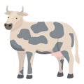 Hereford cow icon cartoon vector. Cattle farm Royalty Free Stock Photo