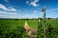 Herefordshire / UK - 6 June 2021: Public footpath sign pointing to track or path through arable farming field in summer under blue