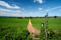 Herefordshire / UK - 6 June 2021: Public footpath sign pointing to track or path through arable farming field in summer under blue