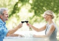 Heres to our continued happiness and love. Happy mature couple toasting their love with two glasses of wine while Royalty Free Stock Photo