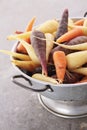 Heritage carrots on wooden board Royalty Free Stock Photo