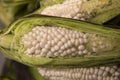 Heirloom corn, non-GMO, of the Andes, South America