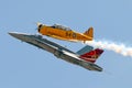 Heritage Flight Canadian CF-18 and Harvard