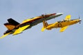 Heritage Flight CF-18 Hornet and CT-156 Harvard Royalty Free Stock Photo