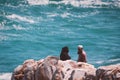 Arabic adult couple standing at the view point in coastal town