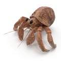 Hermit Crab Crawling Pose On White Background 3D Illustration Isolated Royalty Free Stock Photo