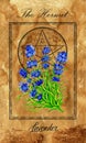 The Hermit. Major Arcana tarot card with Lavender and magic seal