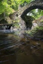The Hermitage Bridge in Perthshire Scotland with river flowing t Royalty Free Stock Photo