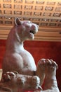 Hermitage Museum. Hall of Dionysus. Panther, marble roman statue