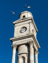 Herne Bay clock tower and seagull Royalty Free Stock Photo