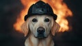 Heroic dog firefighter in action Royalty Free Stock Photo