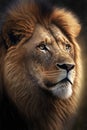 Heroic Portrait Illustration of Lion