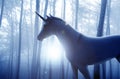 Heroic steed. Shot of a beautiful unicorn standing in a forest.