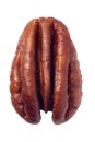 Single pecan nut isolated on white background Royalty Free Stock Photo
