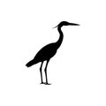 Heron silhouette, bird logo template Royalty Free Stock Photo