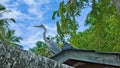 Heron against the blue sky. The bird is sitting on the roof. Royalty Free Stock Photo