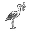 heron bird with frog line art sketch vector