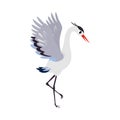 Heron Bird with Long Legs and Beak Standing Vector Illustration