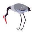 Heron Bird with Long Legs and Beak Standing Vector Illustration