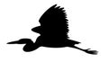 Heron bird, vector illustration,black  silhouette Royalty Free Stock Photo
