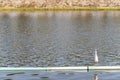 Heron or Bittern or Egret waiting for fish. Royalty Free Stock Photo