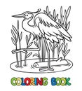 Funny heron in the swamp. Coloring book series