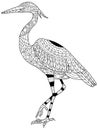 Heron coloring vector for adults