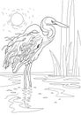 Heron doodle style sketch illustration hand drawn vector.  abstract illustration Royalty Free Stock Photo