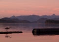 Heron fishing at sunset in the Discover Islands