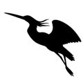 Heron in flight , vector illustration , black silhouette Royalty Free Stock Photo