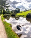 Heron flying over canal Royalty Free Stock Photo