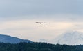 Heron flying towards Rainier over Sammamish Lake