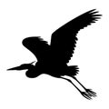 The heron is flying vector illustration black silhouette Royalty Free Stock Photo