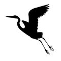 heron flying , vector illustration , black silhouette, profile Royalty Free Stock Photo