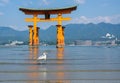 Heron in front of the Floating Tori Gate