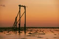 Heron Island`s Gantry at sunset