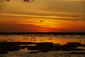 Heron Island`s reef at sunset Royalty Free Stock Photo