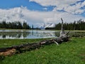 Heron Pond and Swan lake hike in Grand Teton National Park, Wyoming